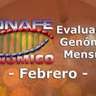 Evaluación genómica de febrero 2019