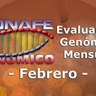 Evaluacin genmica de febrero 2019