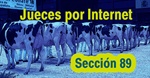 Jueces por Internet: Seccin 89