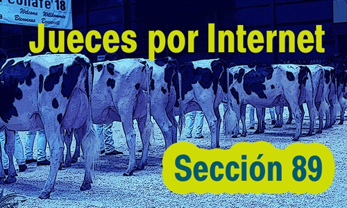 Jueces por Internet: Seccin 89