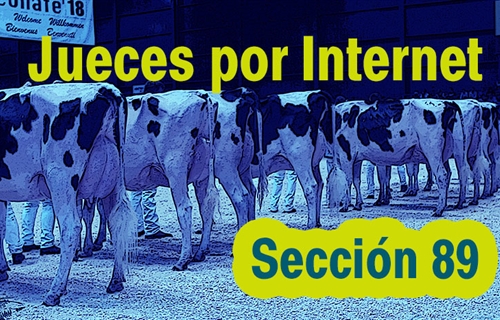 Jueces por Internet: Seccin 89