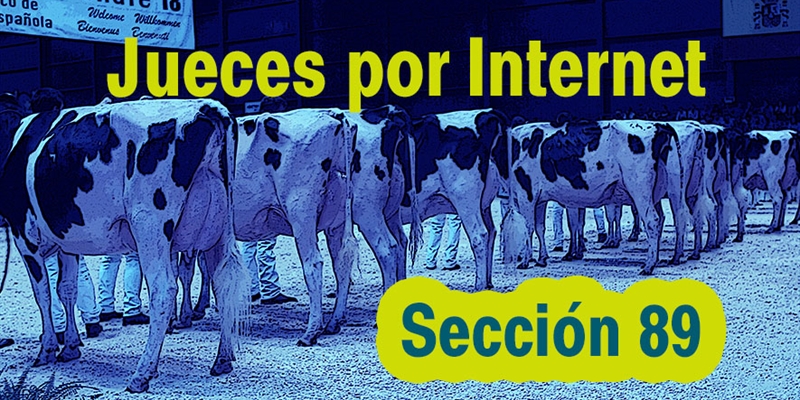 Jueces por Internet: Seccin 89