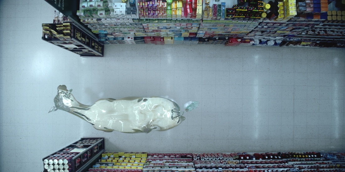 Glass Cows, una ingeniosa campaa de publicidad para una marca...