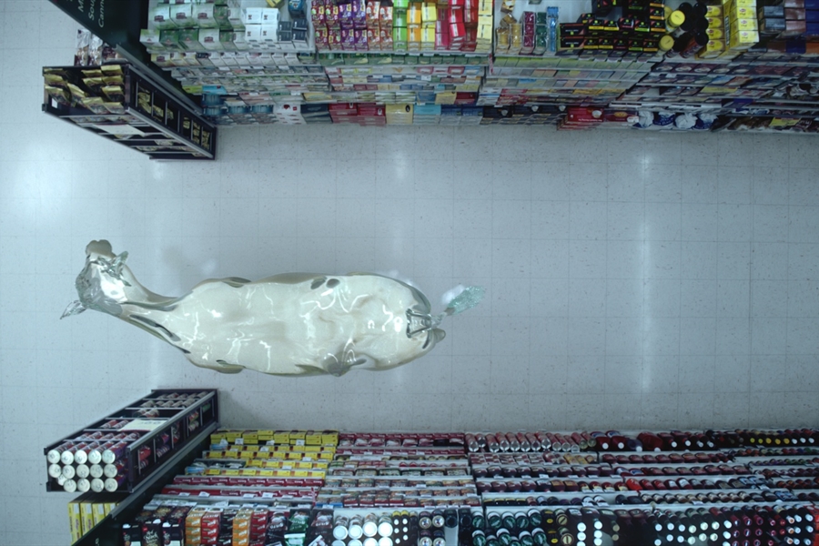 Glass Cows, una ingeniosa campaa de publicidad para una marca...