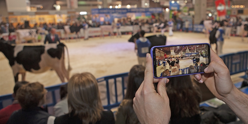 Otra mirada al 28 Concurso Gallego de Raza Frisona FEFRIGA 2019 y 35 Open GandAgro'19