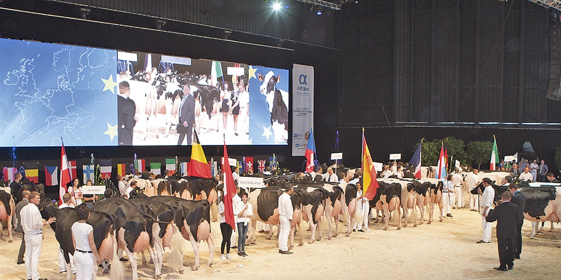 La Confrontaci�n Europea de Raza Holstein anuncia la participaci�n de...