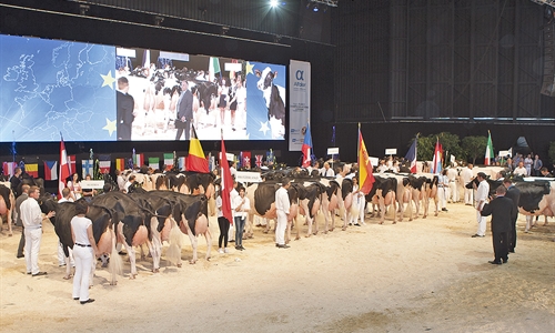 La Confrontacin Europea de Raza Holstein anuncia la participacin de...