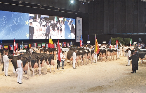 La Confrontacin Europea de Raza Holstein anuncia la participacin de...