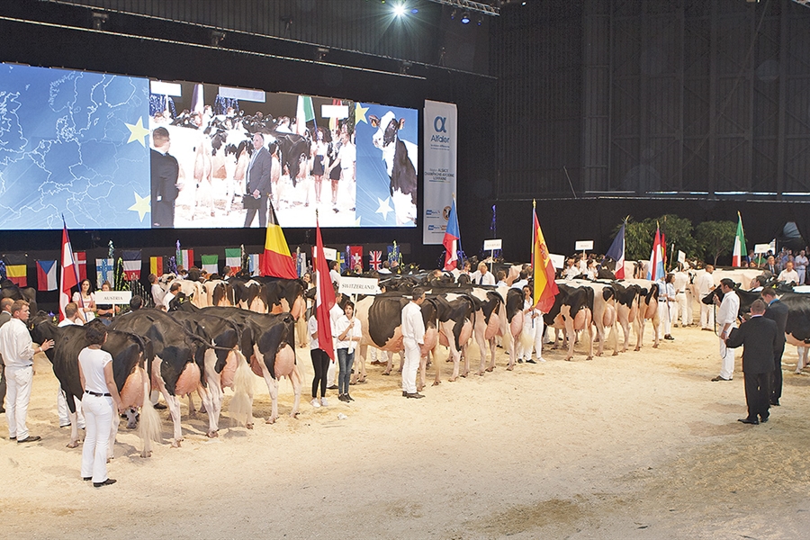 La Confrontacin Europea de Raza Holstein anuncia la participacin de...