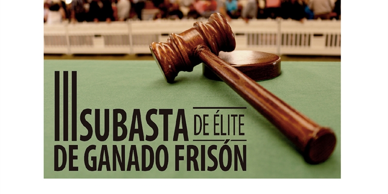 La III Subasta de �lite de Ganado Fris�n de EmbrioMarket pondr� a la venta 18 animales