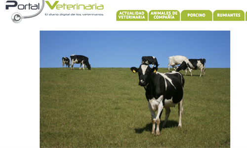 Nace Portal Veterinaria, una web destinada a los profesionales veterinarios