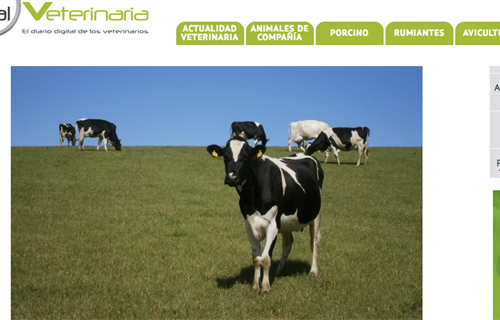 Nace Portal Veterinaria, una web destinada a los profesionales veterinarios