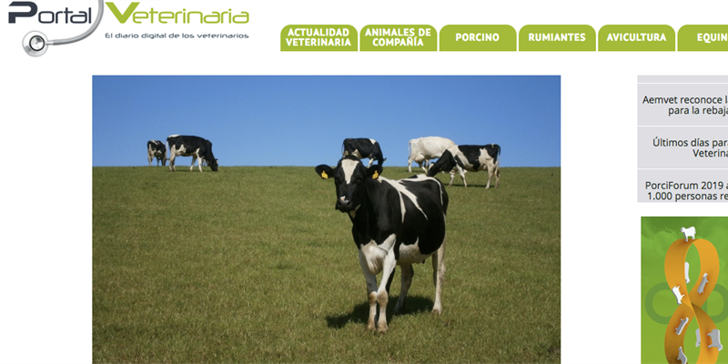 Nace Portal Veterinaria, una web destinada a los profesionales veterinarios