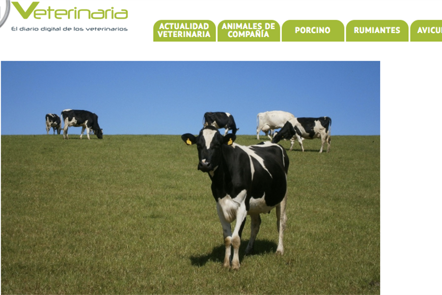 Nace Portal Veterinaria, una web destinada a los profesionales veterinarios