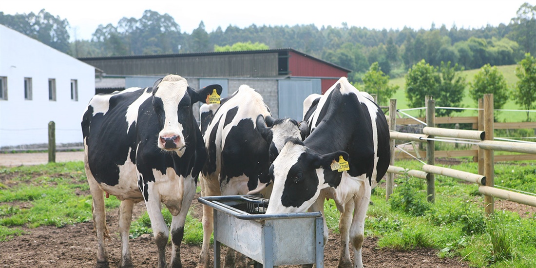 La industria de sanidad y nutricin animal en Espaa factur ms de...