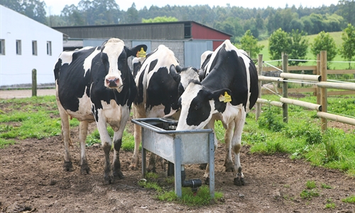 La industria de sanidad y nutricin animal en Espaa factur ms de...