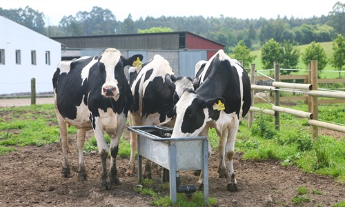 La industria de sanidad y nutricin animal en Espaa factur ms de...