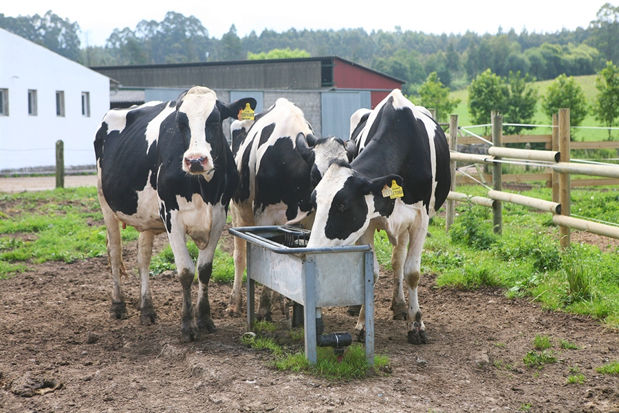 La industria de sanidad y nutricin animal en Espaa factur ms de...