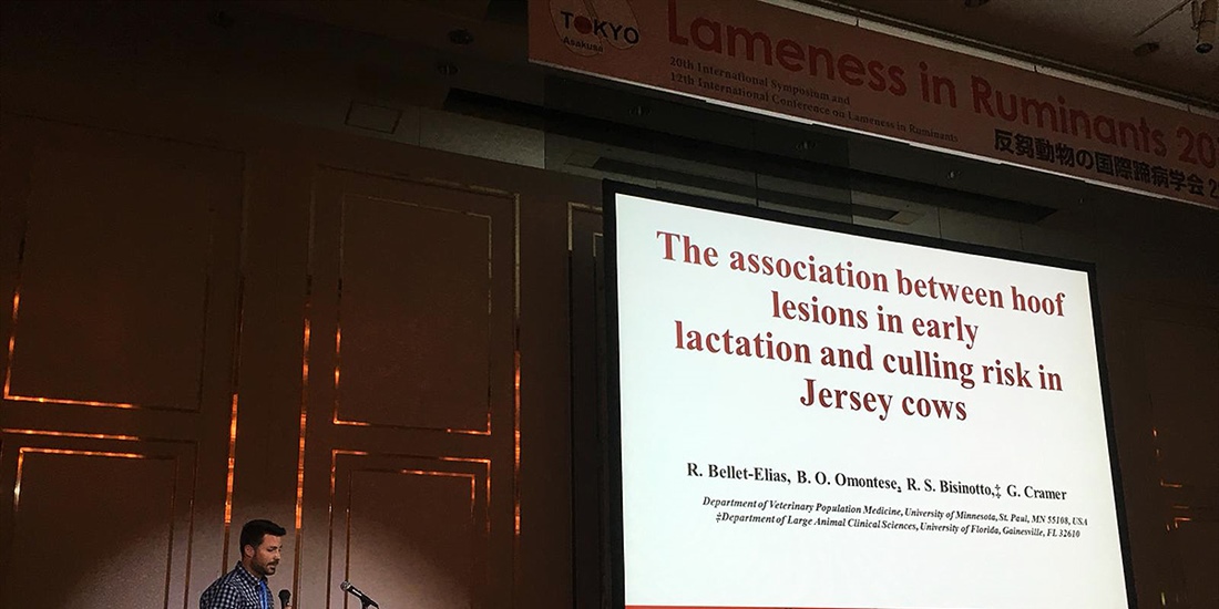 La podologa bovina espaola participa en la Conferencia Internacional...