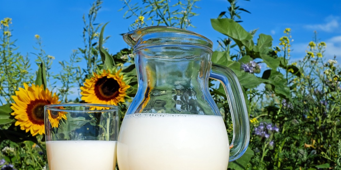 La leche est presente en el 83% de los desayunos