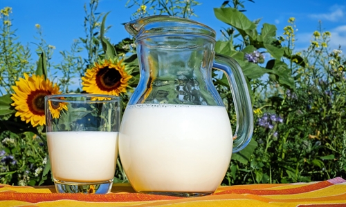 La leche est presente en el 83% de los desayunos