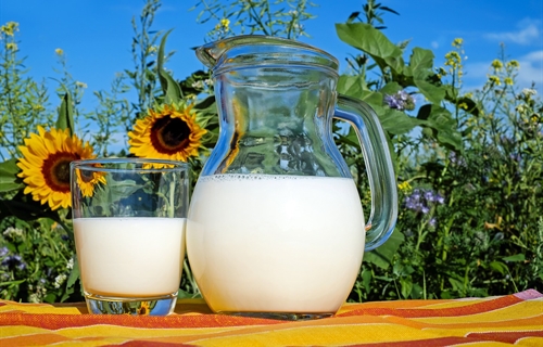 La leche está presente en el 83% de los desayunos