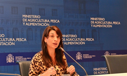 Primera reunin para determinar el papel de jvenes, mujeres y...