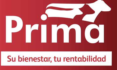 Nanta organiza su I Simposio Recr�a Con Prima