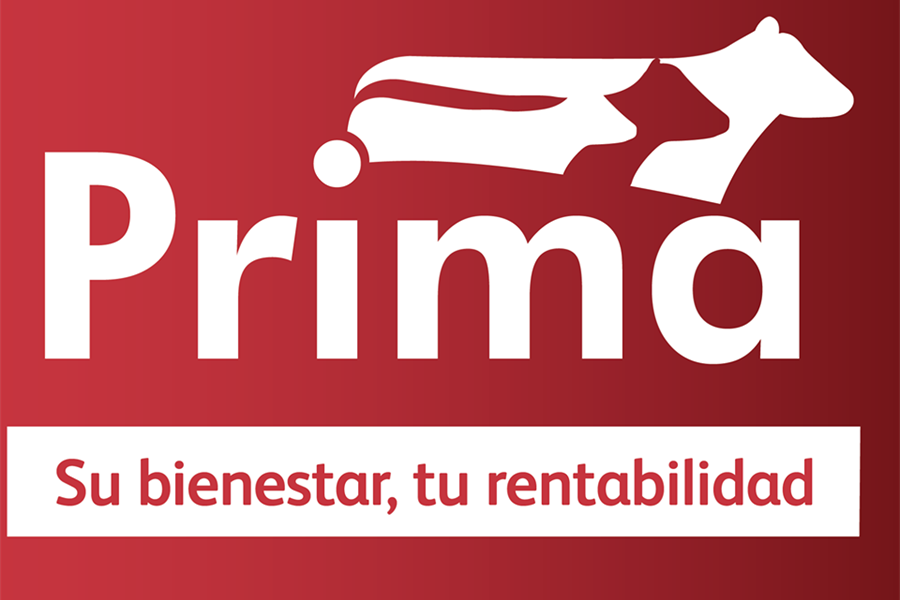 Nanta organiza su I Simposio Recr�a Con Prima