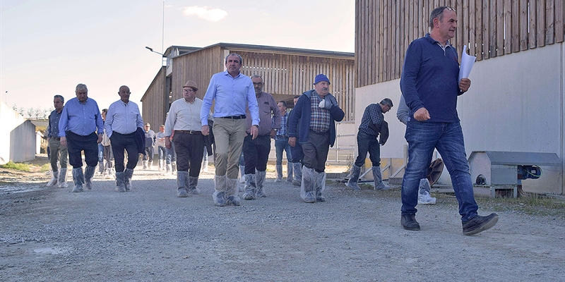 Daro Campos dice que un criterio sanitario alto est dificultando la entrada de novillas en el centro de recra de Castro