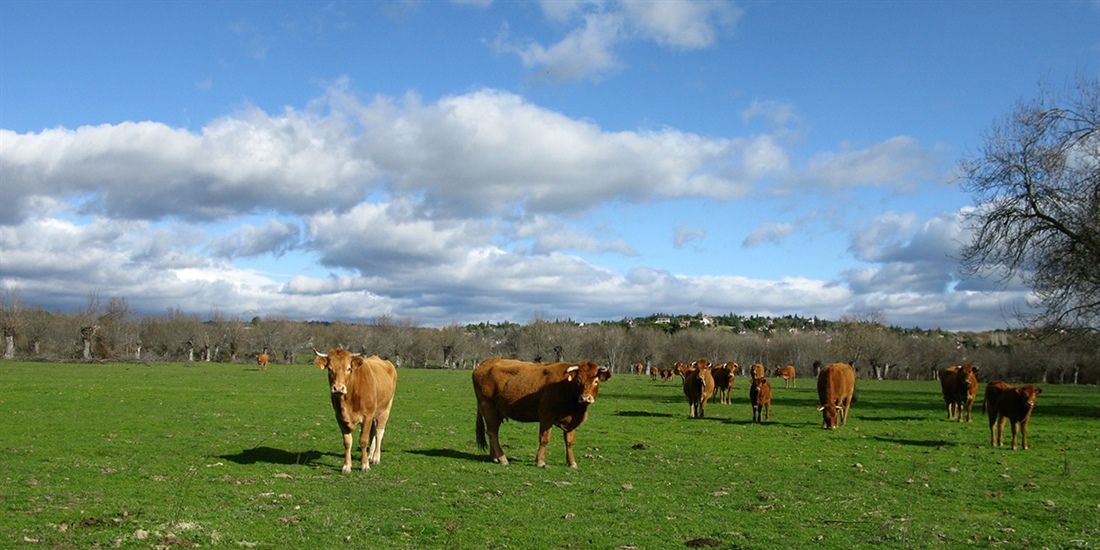 Agroseguro firma un nuevo convenio de colaboraci�n con el Gobierno de...