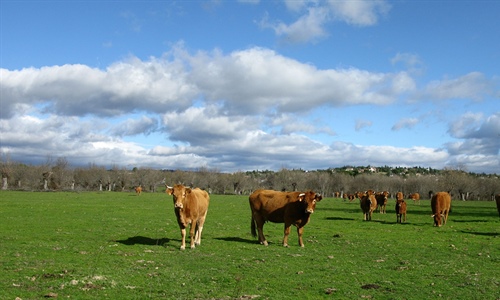 Agroseguro firma un nuevo convenio de colaboracin con el Gobierno de...