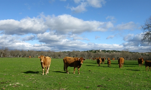 Agroseguro firma un nuevo convenio de colaboracin con el Gobierno de...