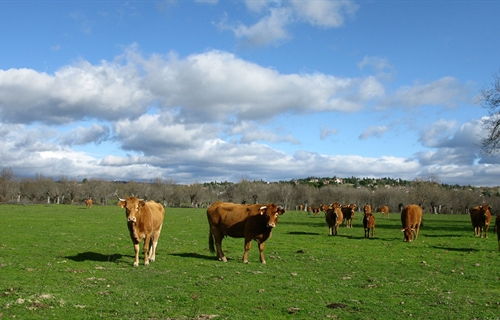 Agroseguro firma un nuevo convenio de colaboracin con el Gobierno de...