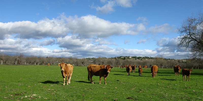 Agroseguro firma un nuevo convenio de colaboracin con el Gobierno de Cantabria