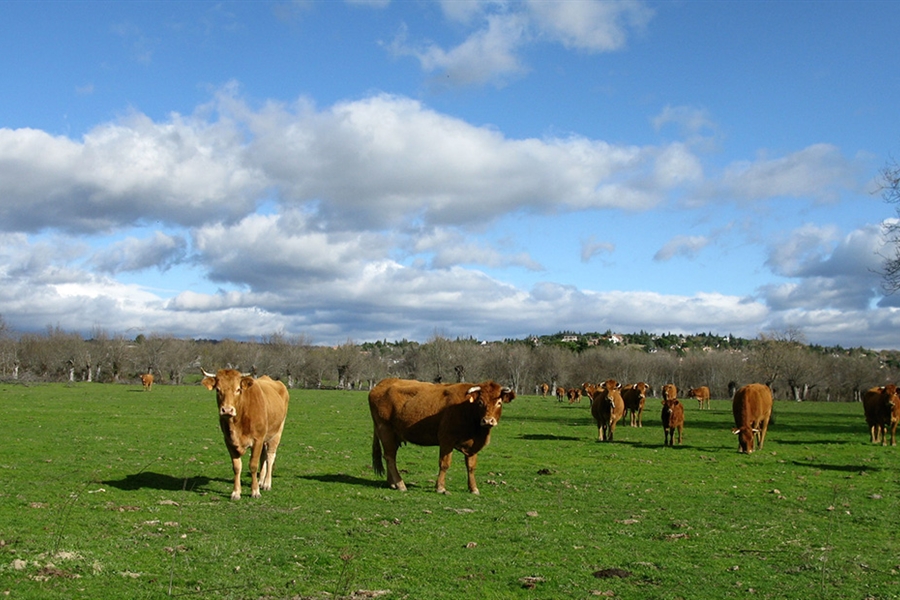 Agroseguro firma un nuevo convenio de colaboracin con el Gobierno de...