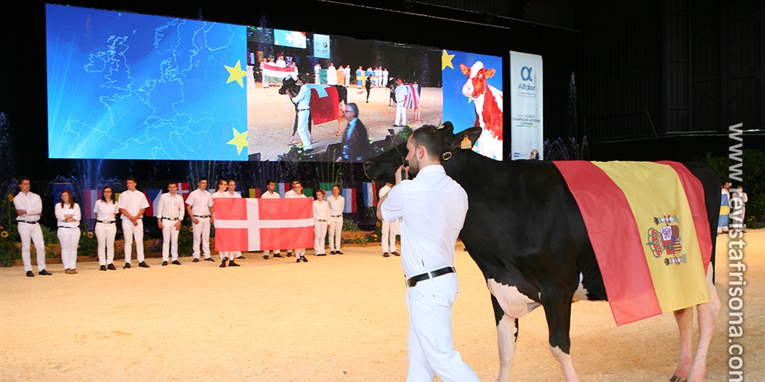Seleccionadas las vacas espaolas que competirn en la Confrontacin...