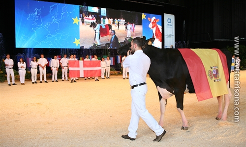 Seleccionadas las vacas espaolas que competirn en la Confrontacin...