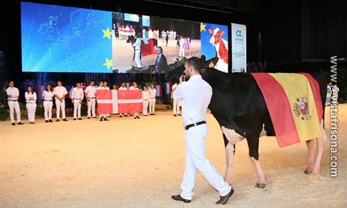 Seleccionadas las vacas espaolas que competirn en la Confrontacin...