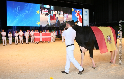 Seleccionadas las vacas espaolas que competirn en la Confrontacin...