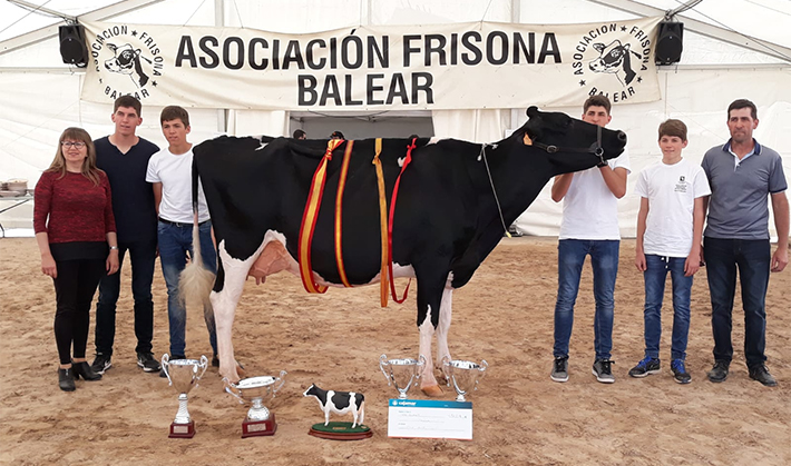 39� Concurso Morfol�gico de Ganado Vacuno de Raza Frisona de Mallorca