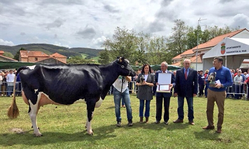 80 Concurso Exposicin Ganado Frisn San Isidro 2019 de Galizano