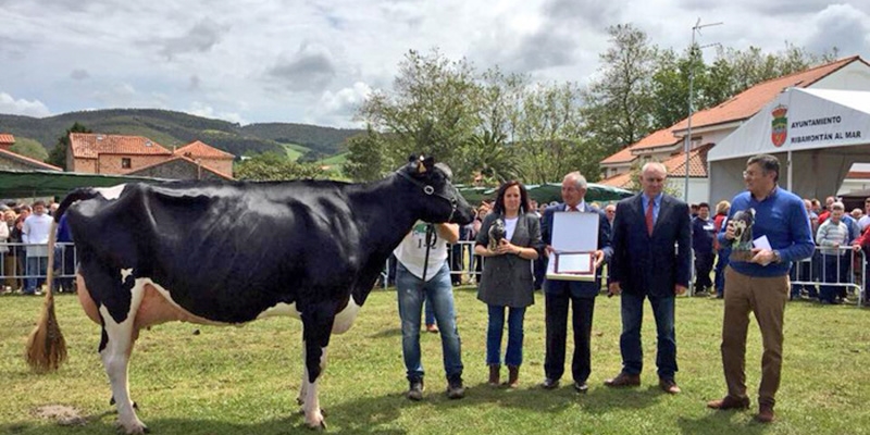 80 Concurso Exposicin Ganado Frisn San Isidro 2019 de Galizano