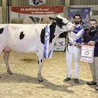 Rey July High Octane, Vaca Gran Campeona en MOEXMU 2019