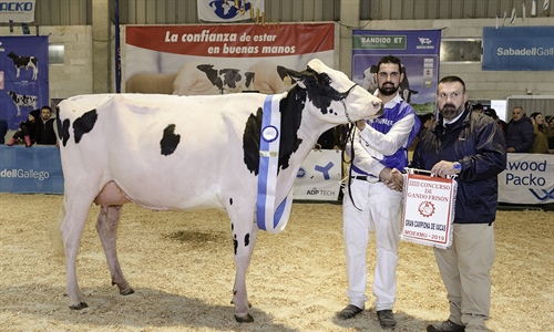 Rey July High Octane, Vaca Gran Campeona en MOEXMU 2019