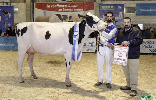 Rey July High Octane, Vaca Gran Campeona en MOEXMU 2019