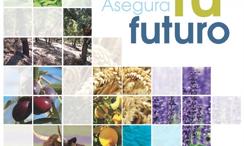 Gua del Seguro Agrario para 2019