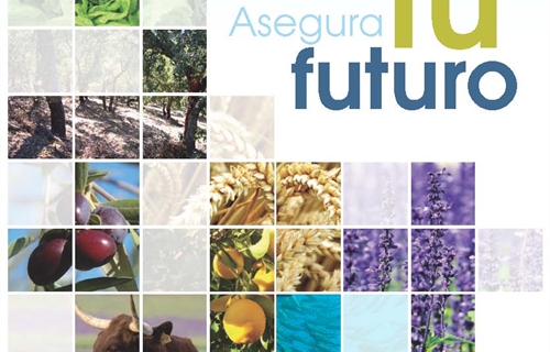 Gua del Seguro Agrario para 2019