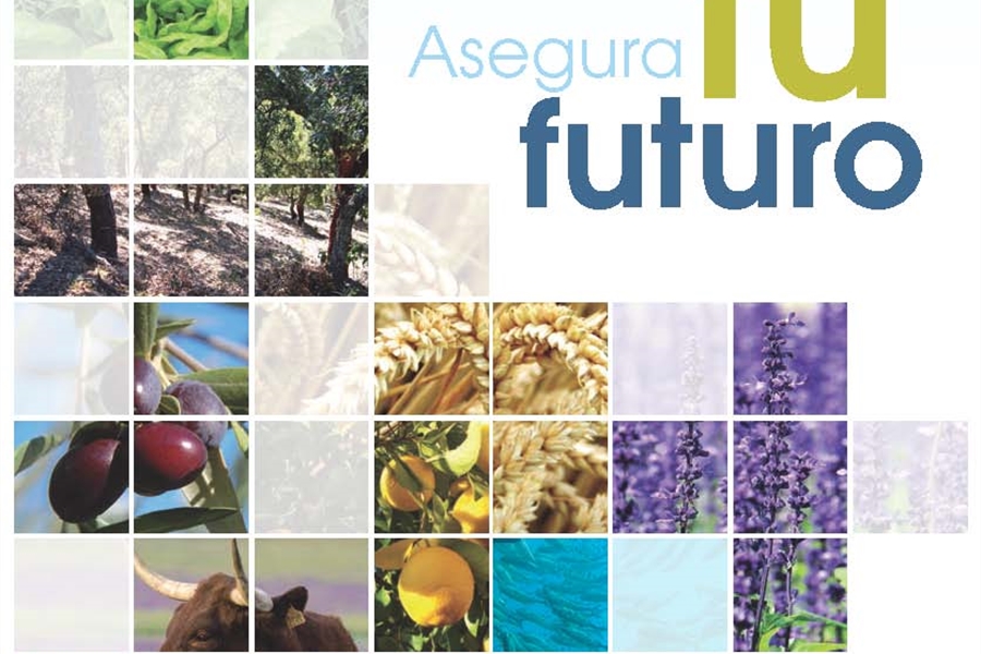 Gua del Seguro Agrario para 2019