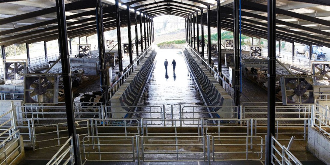 El IRTA lanza el Esquema de Certificacin en Bienestar Animal basado...